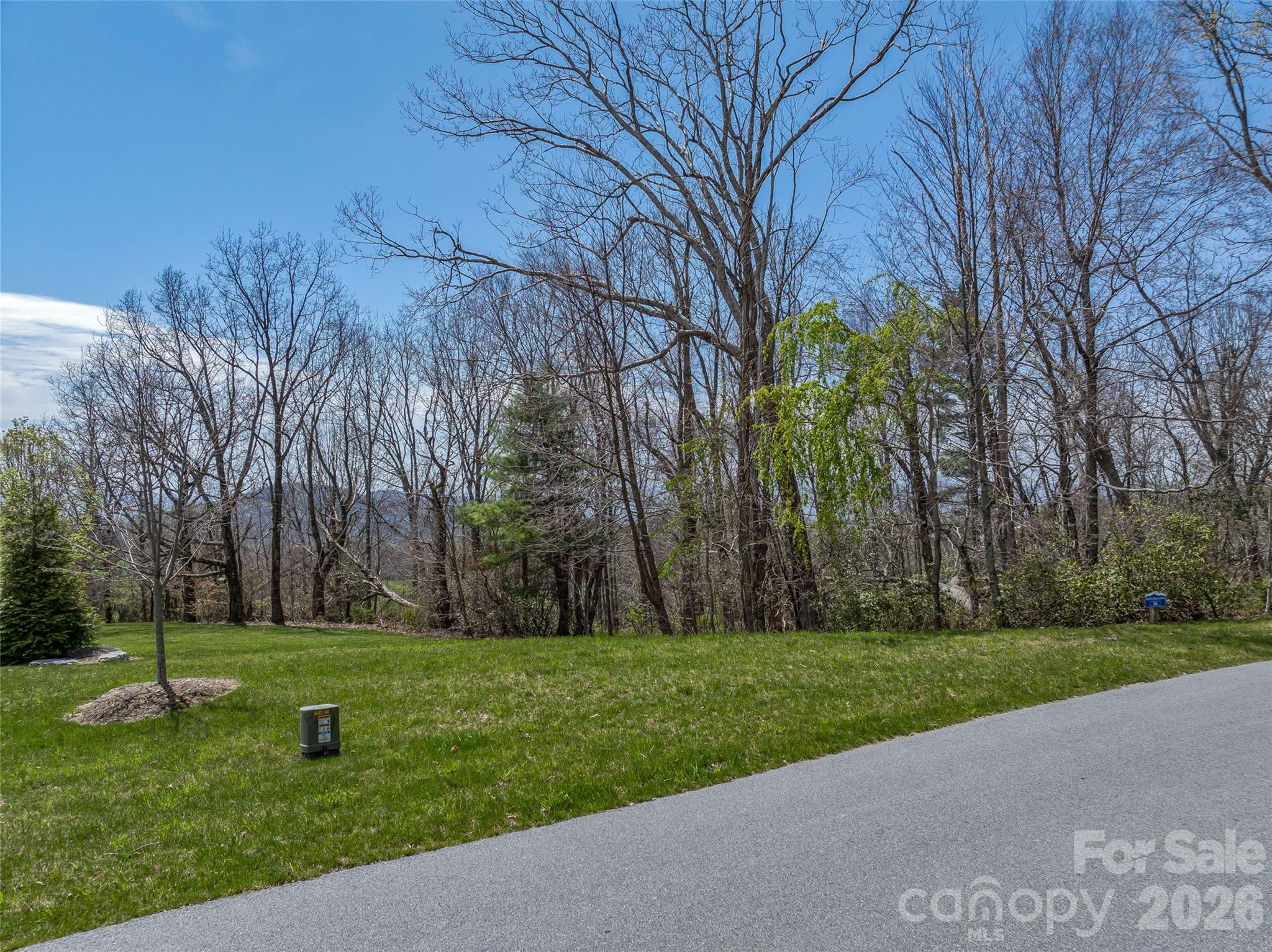 88 Autumn Ridge Lane, Unit 66 Hendersonville, NC 28792 - Photo 8 of 27 a view of a park with large trees