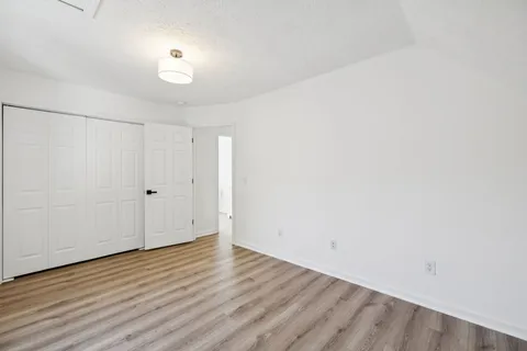 a view of backyard with large tree