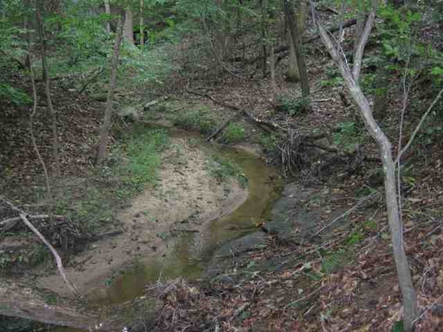 625 Allendale Road Woodruff, SC 29388 - Photo 3 of 6