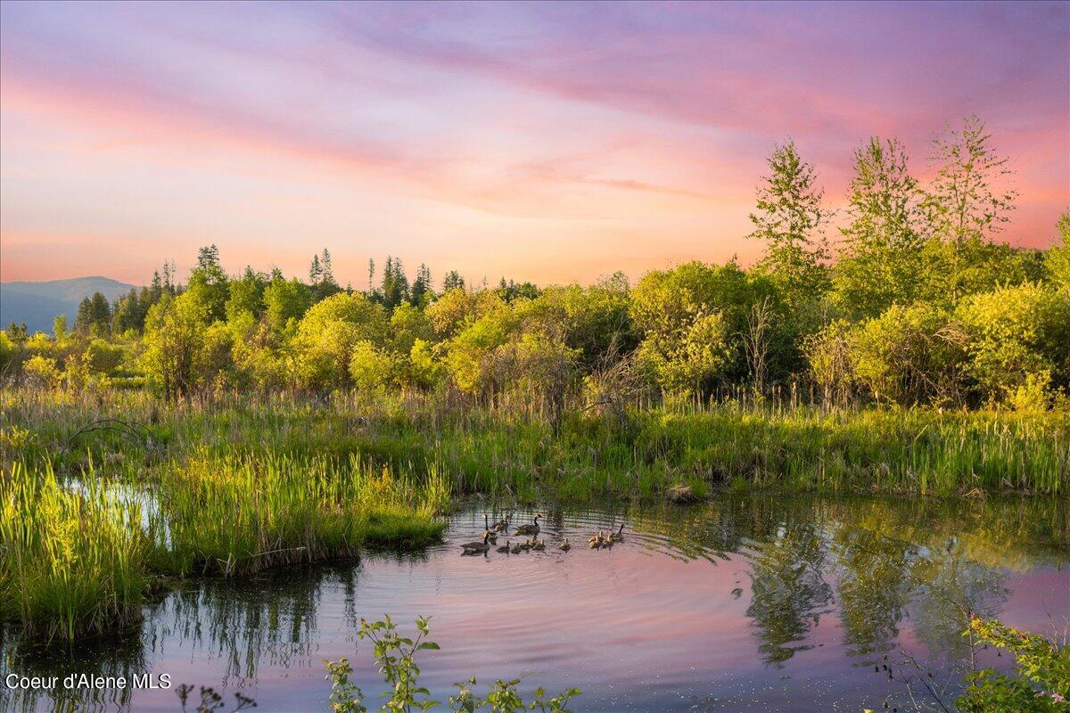 232 Pomrankey Lane Dover, ID 83825 - Photo 34 of 40 07-232 Pomrankey-7