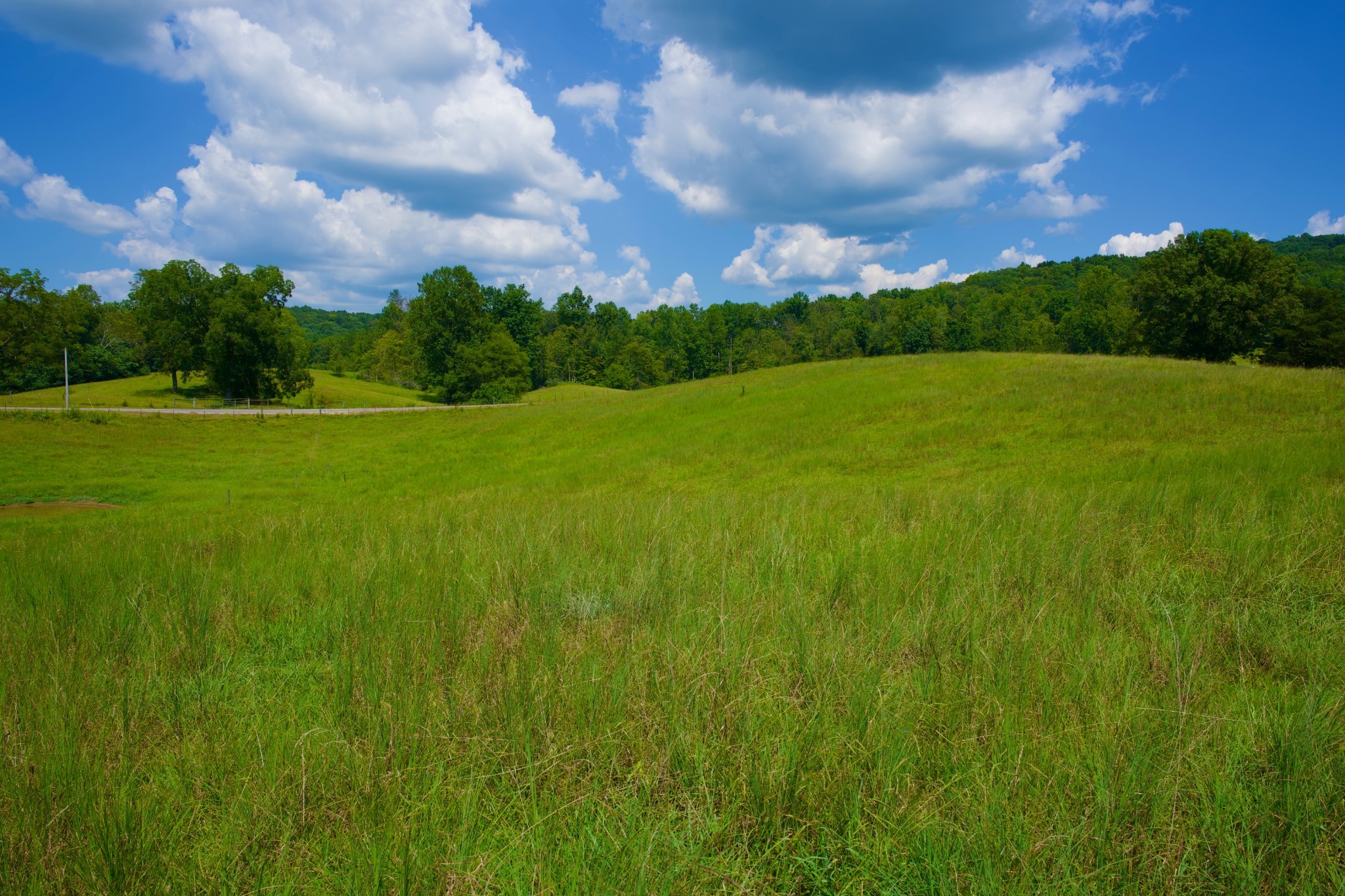 23 West Of Barlow Road Rock Island, TN 38581 - Photo 11 of 43