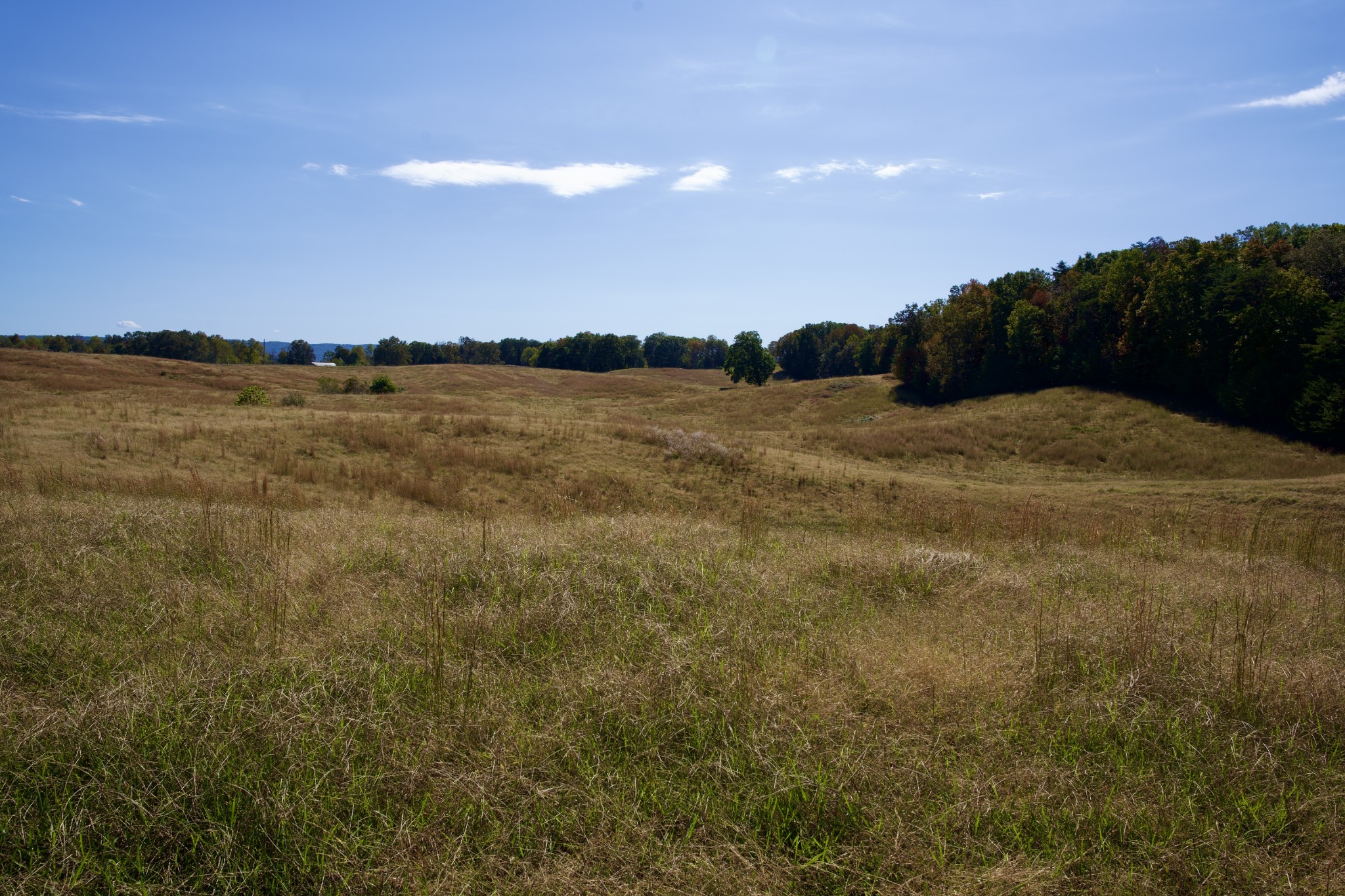 23 West Of Barlow Road Rock Island, TN 38581 - Photo 28 of 43