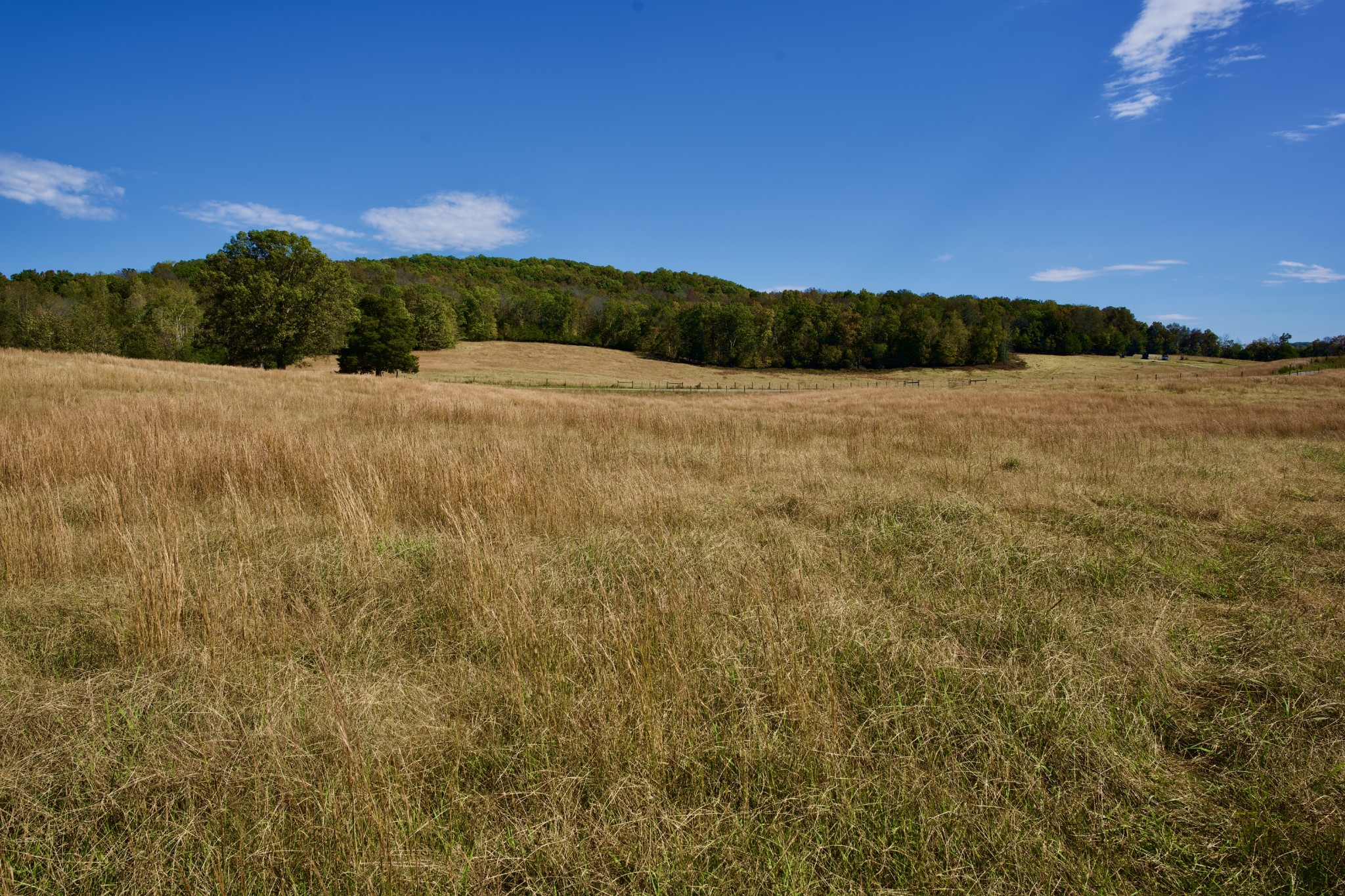 23 West Of Barlow Road Rock Island, TN 38581 - Photo 29 of 43