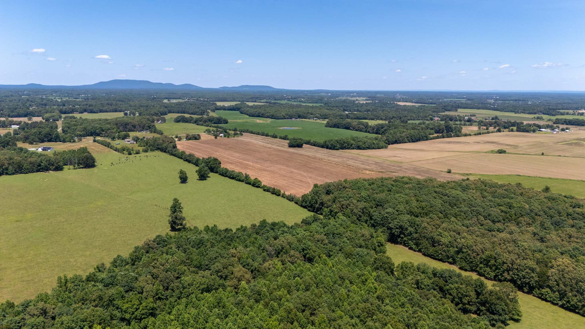0 Brown Road Woodbury, TN 37190 - Photo 18 of 34