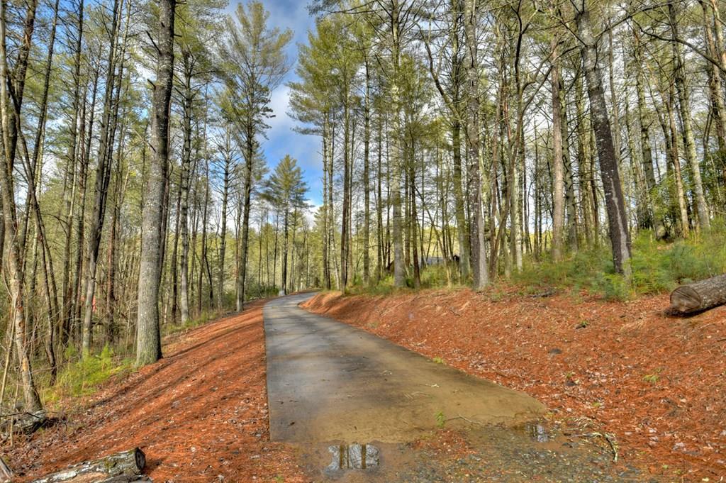2691 Highway 2 Blue Ridge, GA 30513 - Photo 32 of 65