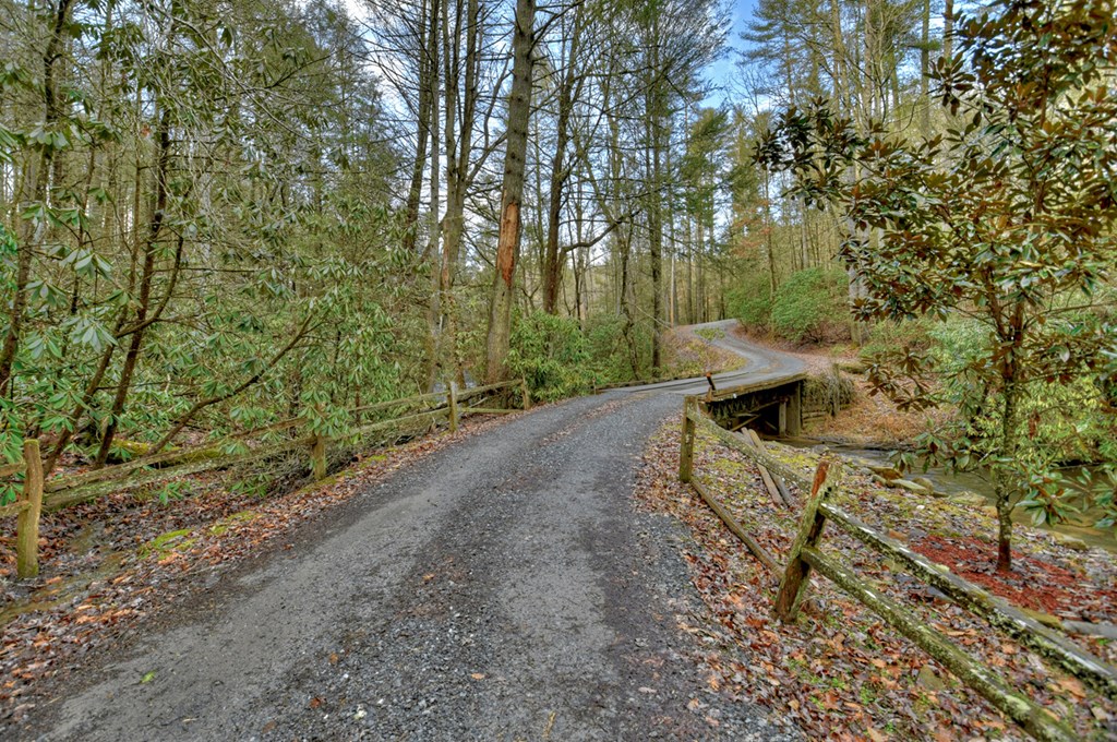 2691 Highway 2 Blue Ridge, GA 30513 - Photo 35 of 65