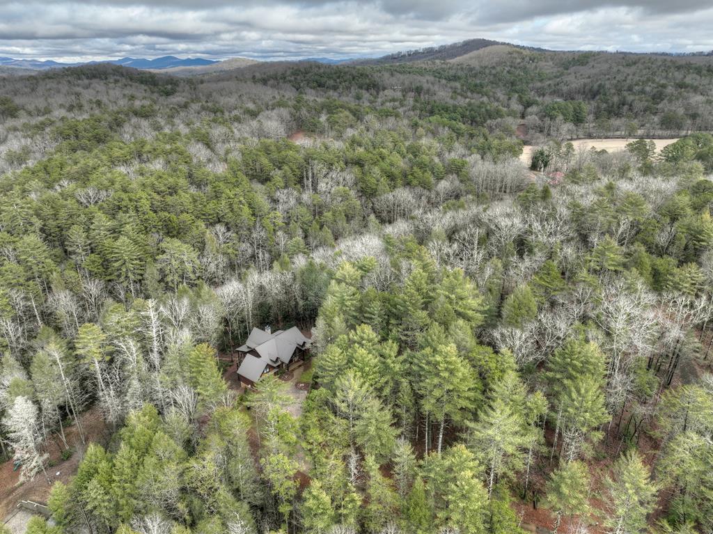 2691 Highway 2 Blue Ridge, GA 30513 - Photo 61 of 65