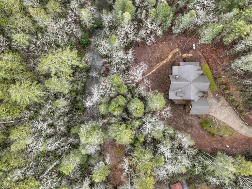 2691 Highway 2 Blue Ridge, GA 30513 - Photo 62 of 65