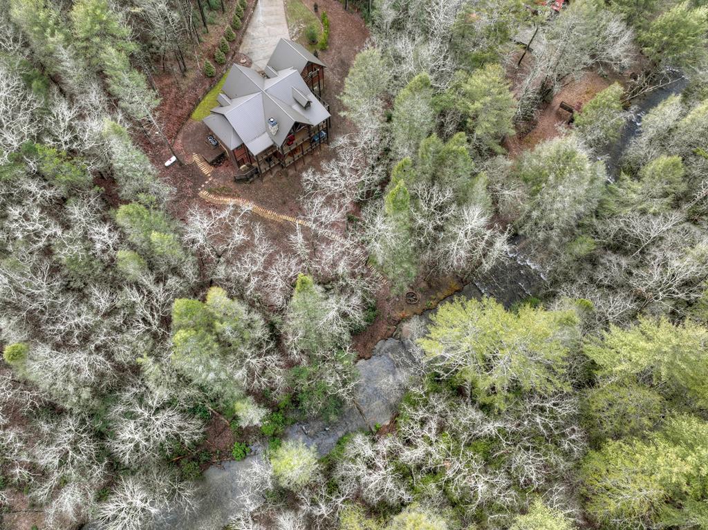 2691 Highway 2 Blue Ridge, GA 30513 - Photo 63 of 65