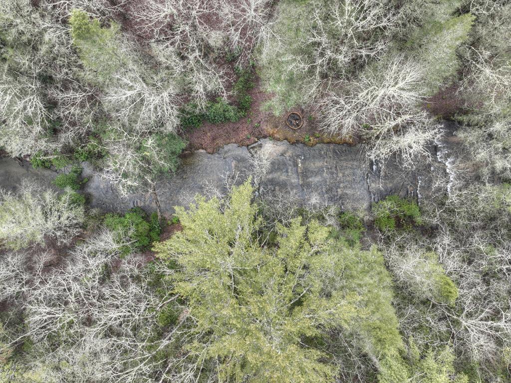 2691 Highway 2 Blue Ridge, GA 30513 - Photo 64 of 65