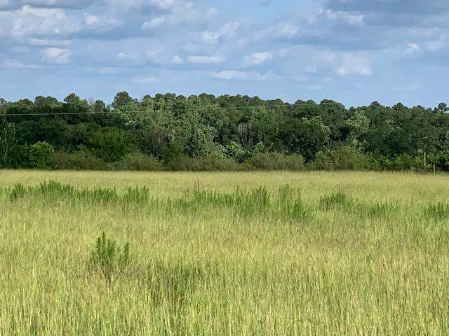 0 Early Walden Road Headland, AL 36345 - Photo 1 of 1