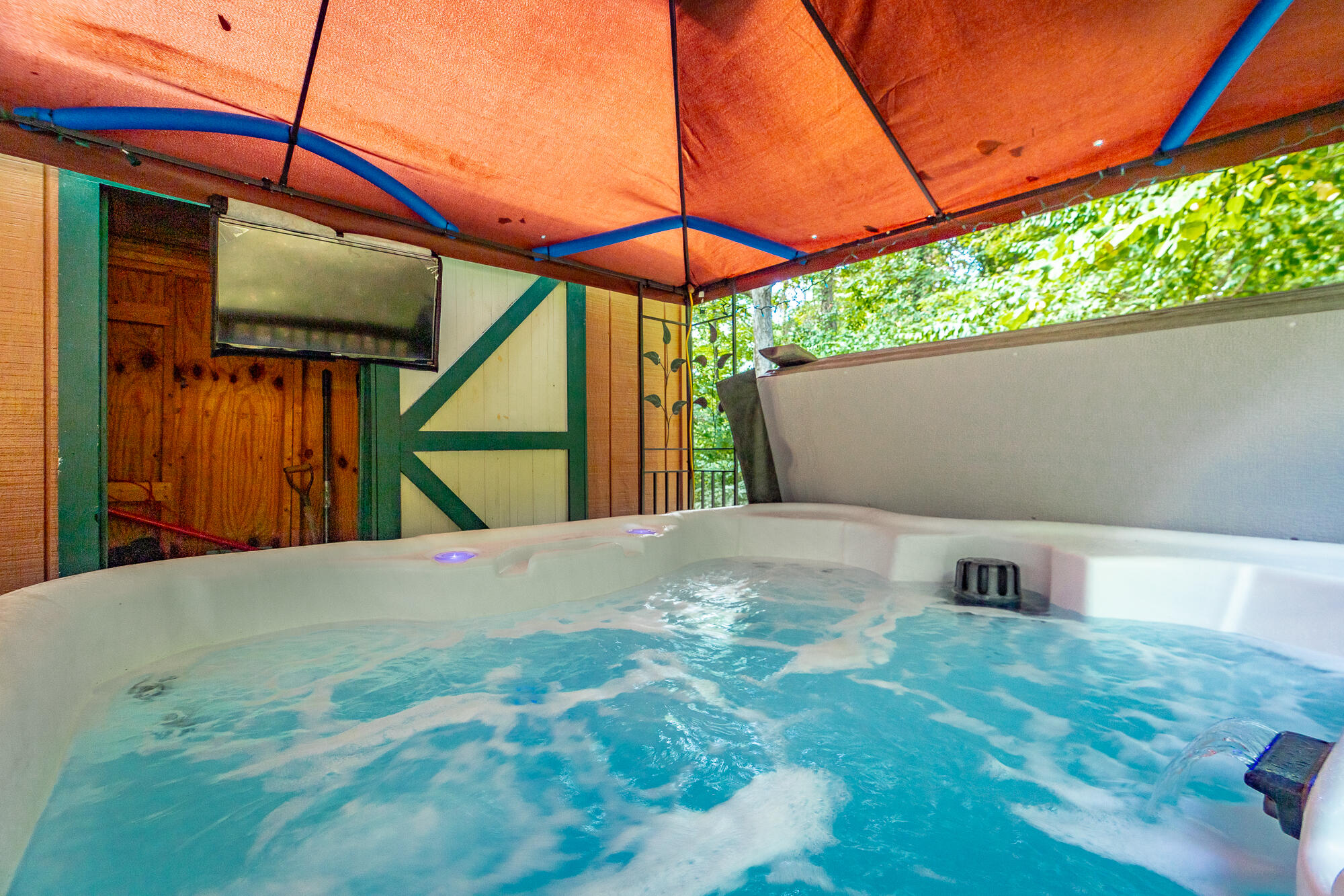 821 Ravine Road Signal Mountain, TN 37377 - Photo 3 of 50 Hot Tub