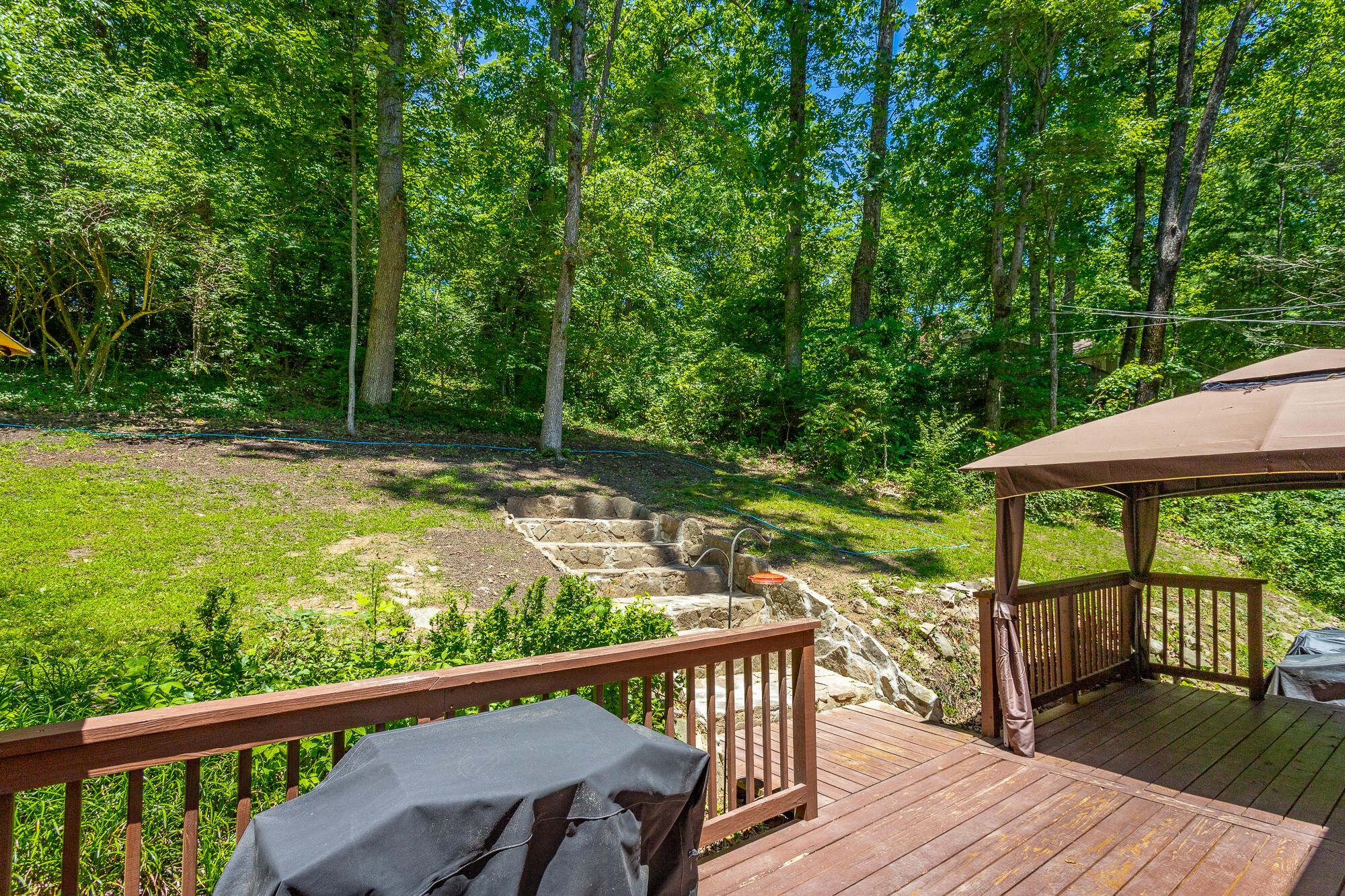 821 Ravine Road Signal Mountain, TN 37377 - Photo 4 of 50 Backyard