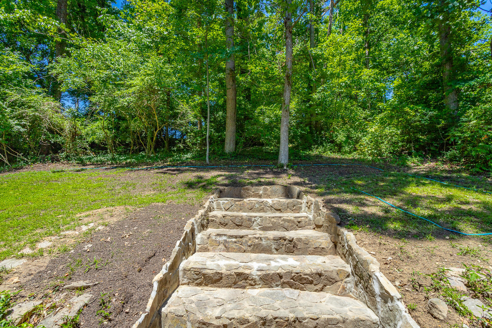 821 Ravine Road Signal Mountain, TN 37377 - Photo 44 of 50 Backyard