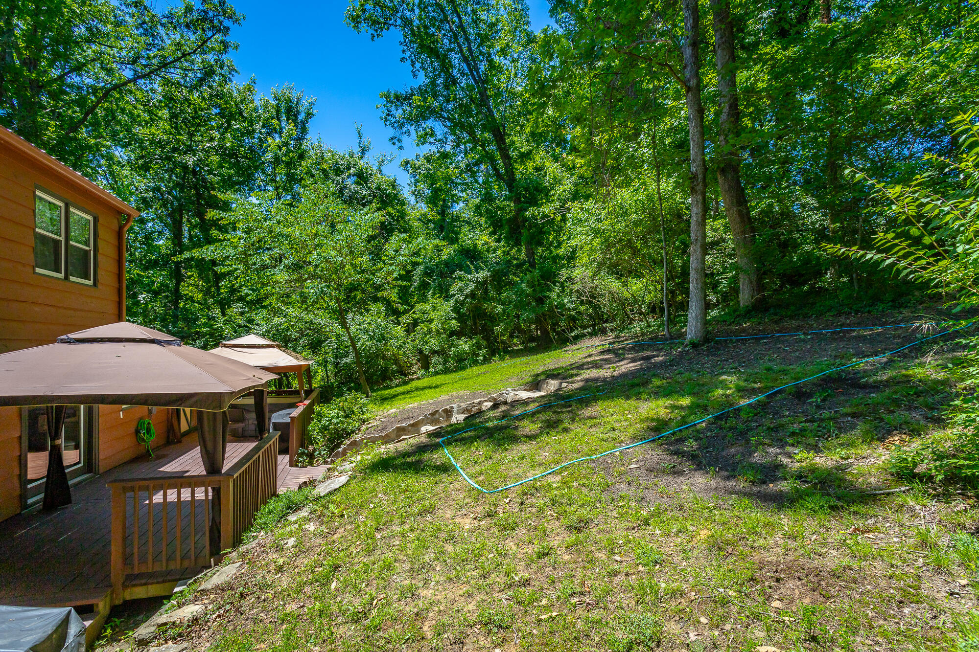 821 Ravine Road Signal Mountain, TN 37377 - Photo 45 of 50 Back Yard
