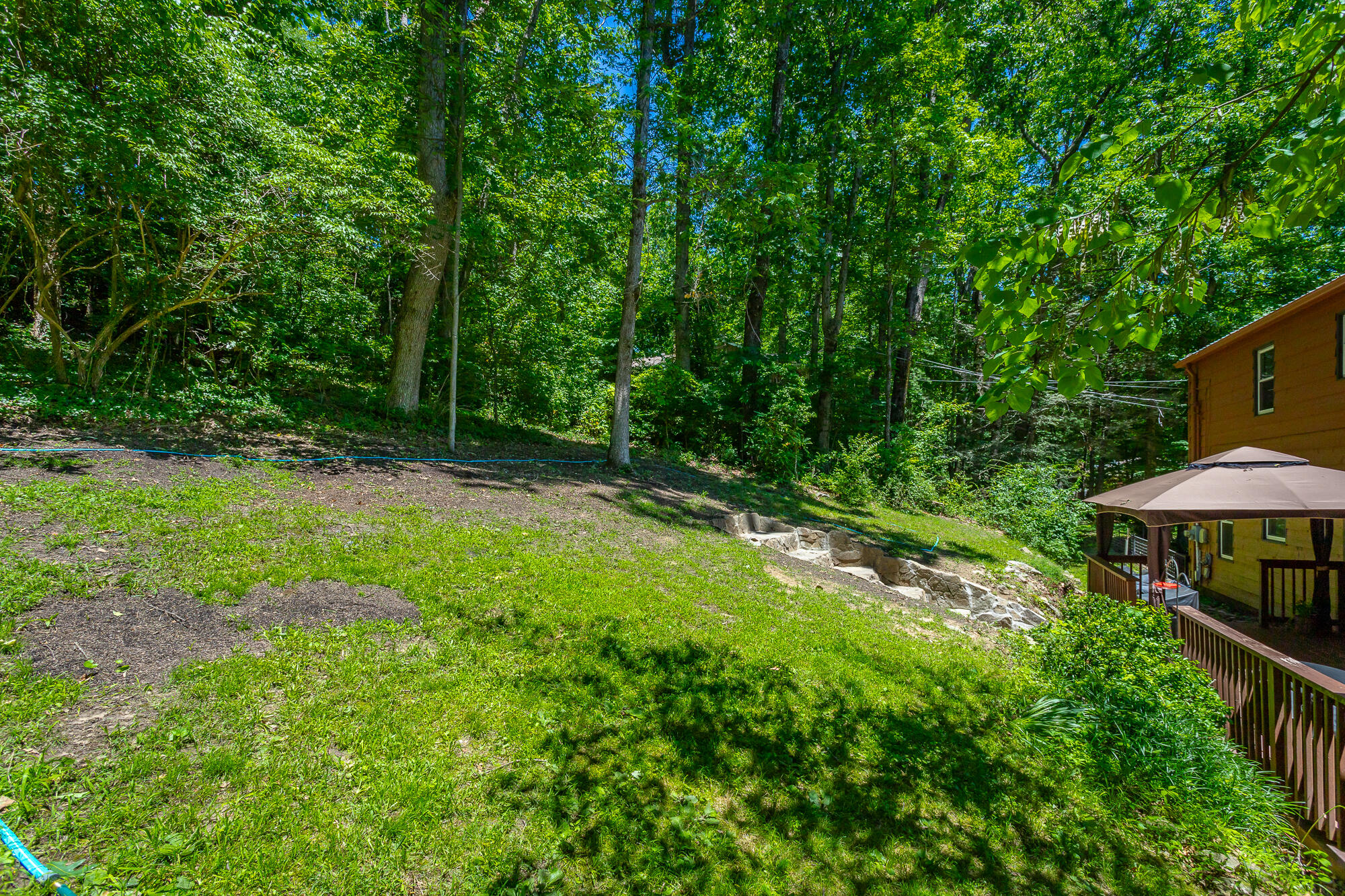 821 Ravine Road Signal Mountain, TN 37377 - Photo 46 of 50 Back Yard