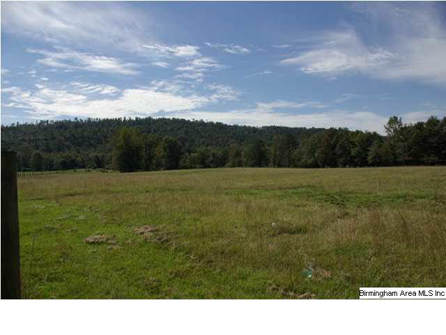 495 Jackson Taylor Road Ashville, AL 35953 - Photo 13 of 28