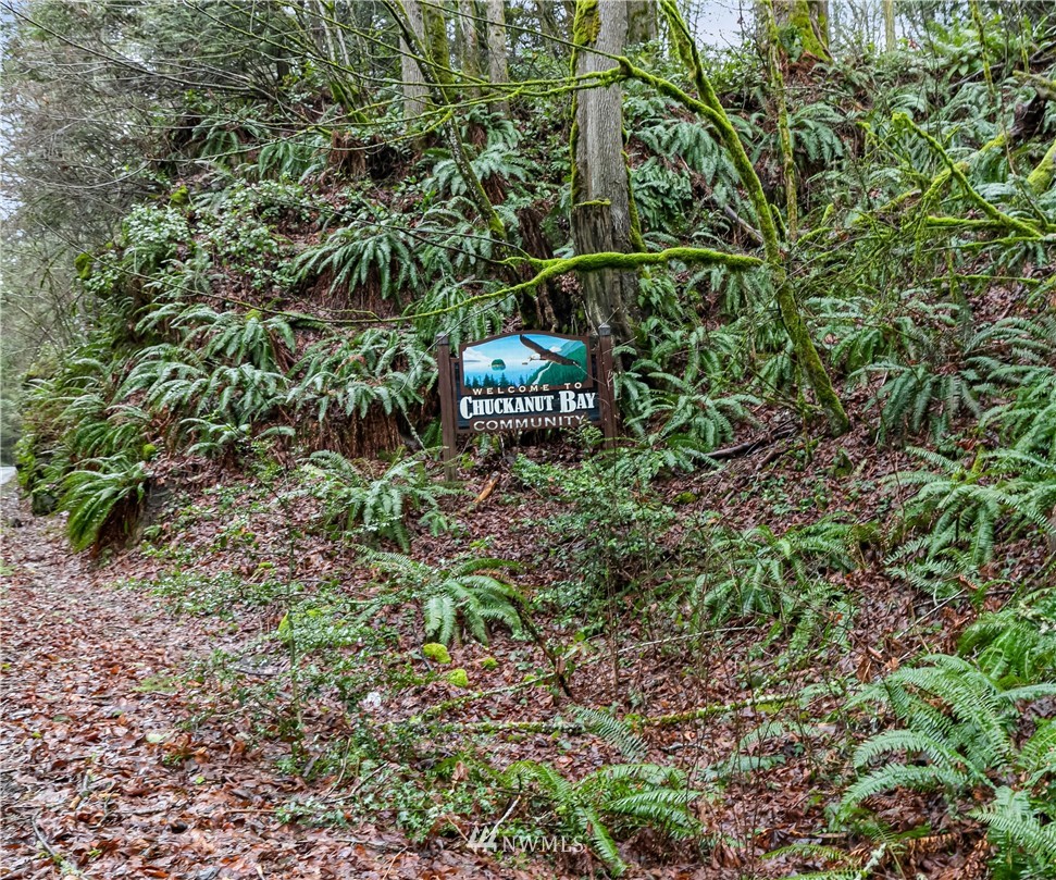 467 Cove Road Bellingham, WA 98229 - Photo 35 of 40 a backyard of a house with lots of green space