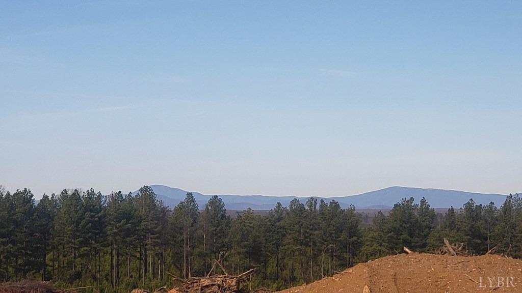 0 Copper Mine Road Arvonia, VA 23004 - Photo 3 of 9 a view of a city and mountains