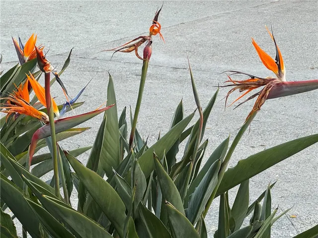 $1,788,000 | 18 Woodsorrel, Irvine, CA 92604