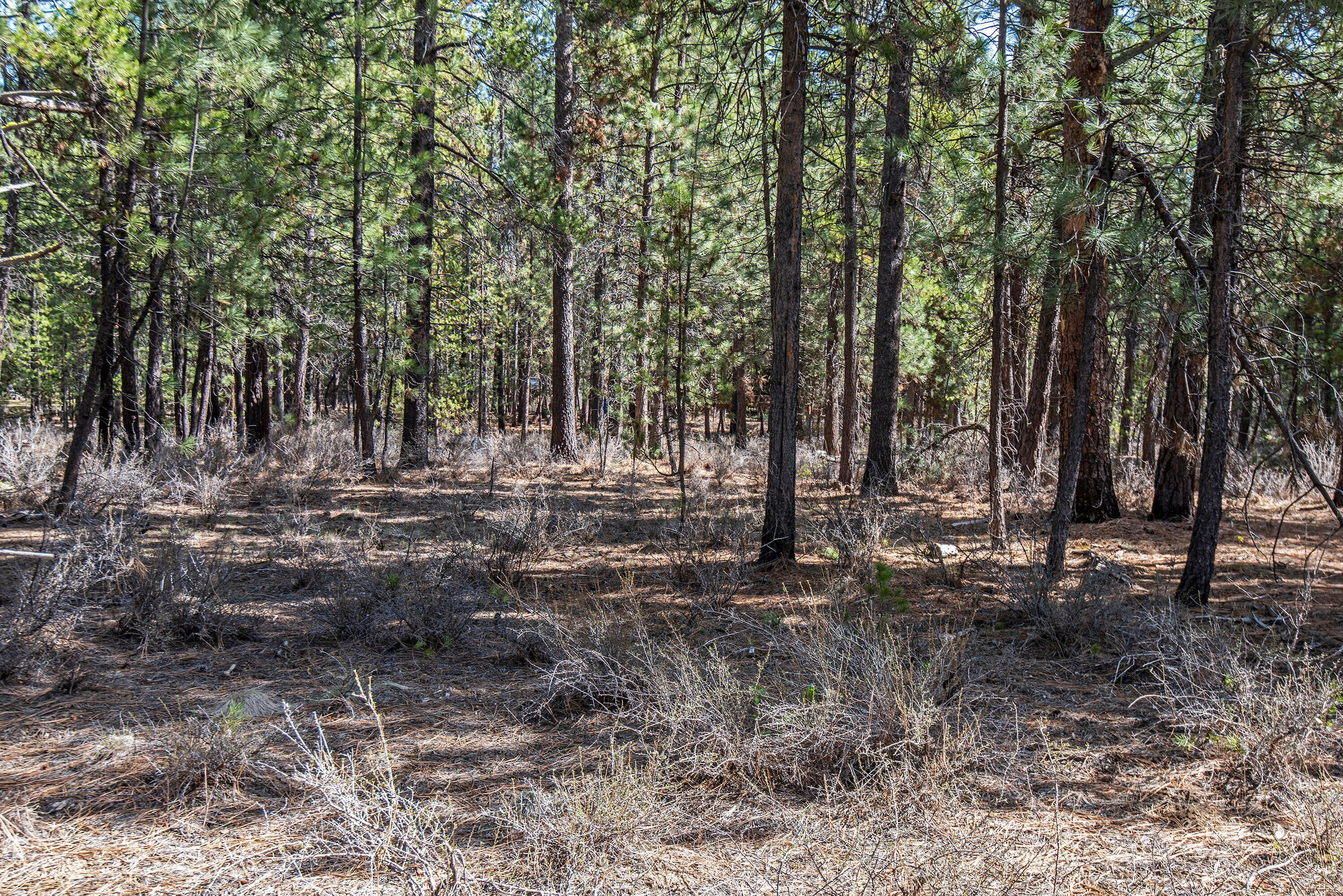 56748 Spring River Loop Bend, OR 97707 - Photo 13 of 17 11