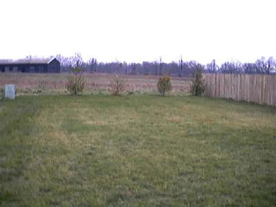 144 Charmac Road Versailles, KY 40383 - Photo 4 of 6 BACK YARD BACKS TO FARM