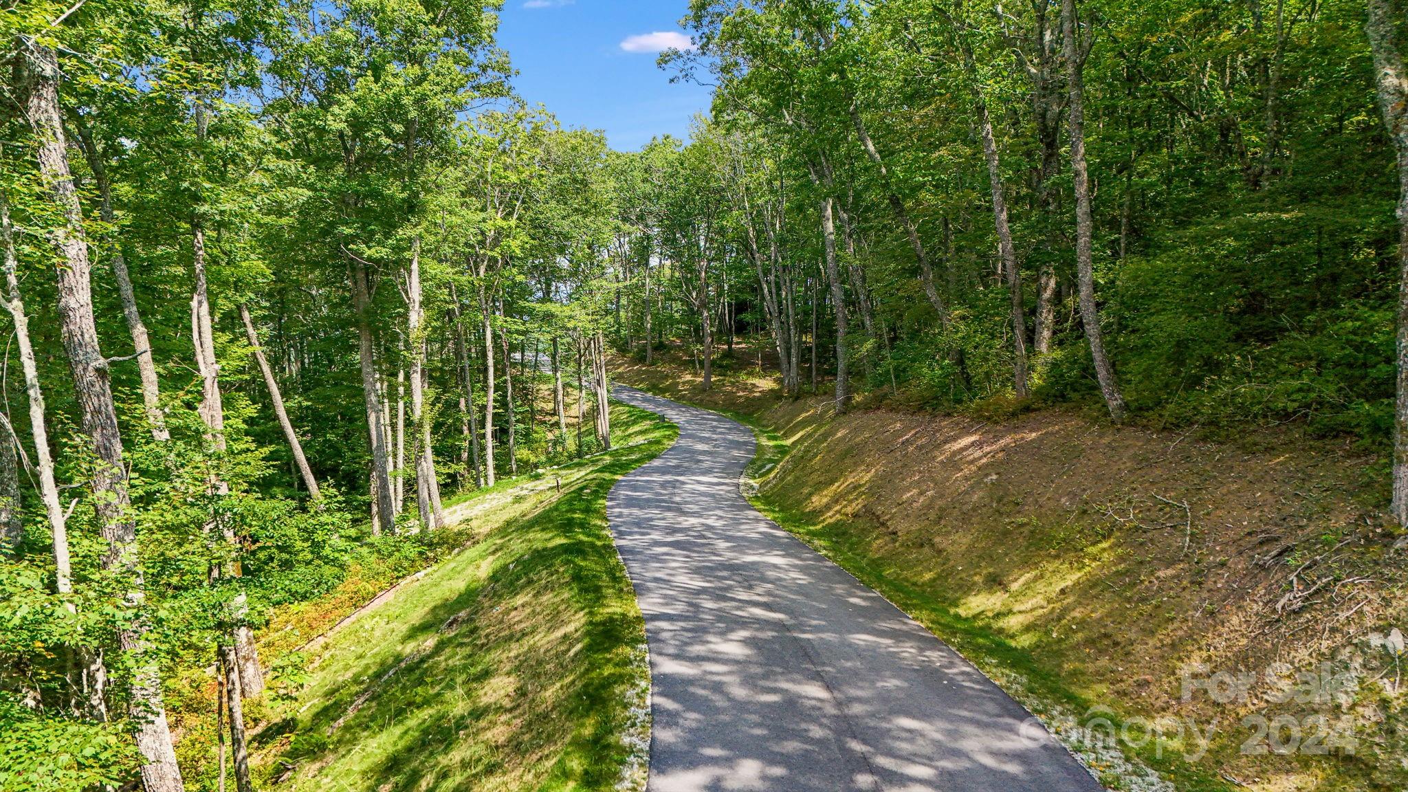 Lot D52 Springwater Road Glenville, NC 28736 - Photo 12 of 47 a view of a pathway of a park