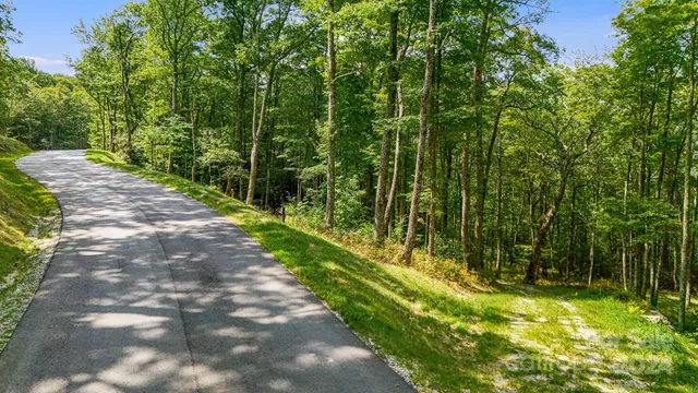 a backyard of a house with trees