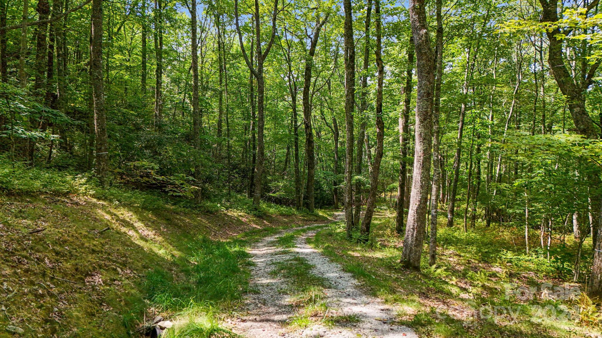 Lot D52 Springwater Road Glenville, NC 28736 - Photo 15 of 47 a view of backyard