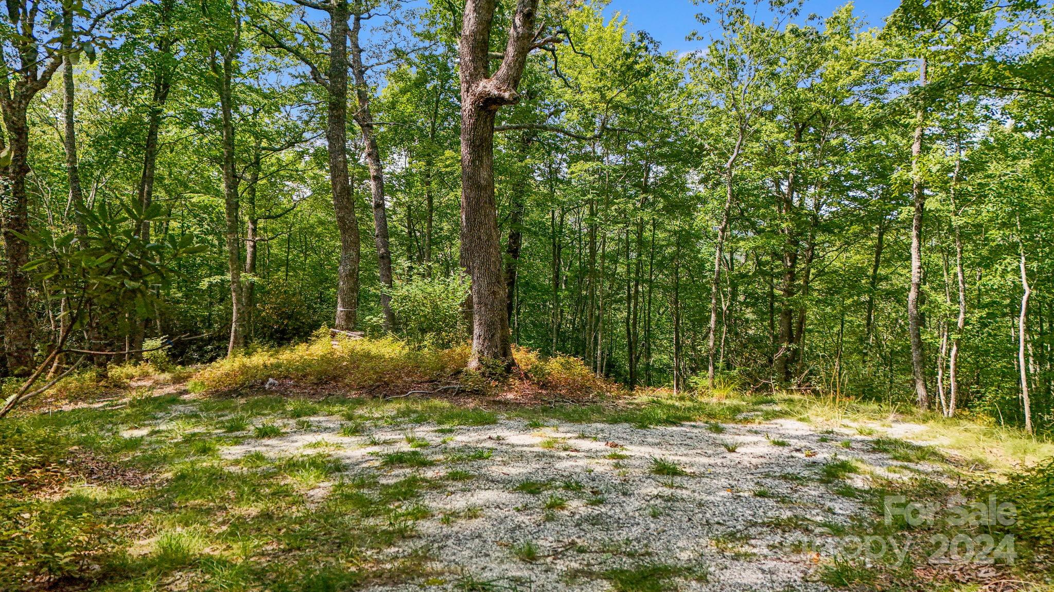 Lot D52 Springwater Road Glenville, NC 28736 - Photo 16 of 47 a view of outdoor space and yard