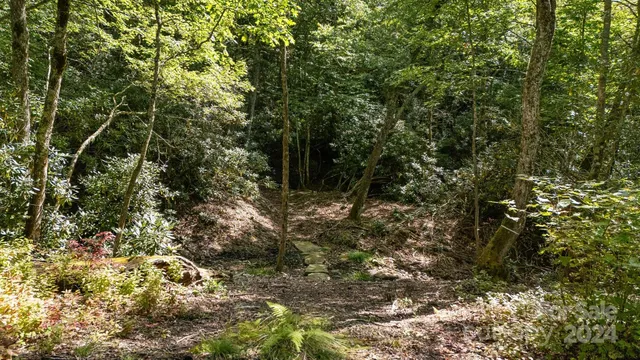 a view of outdoor space and trees