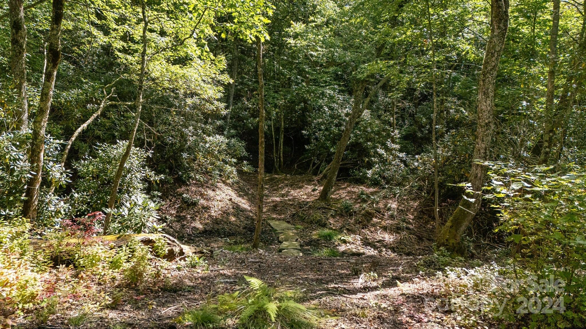 Lot D52 Springwater Road Glenville, NC 28736 - Photo 17 of 47 a view of a forest