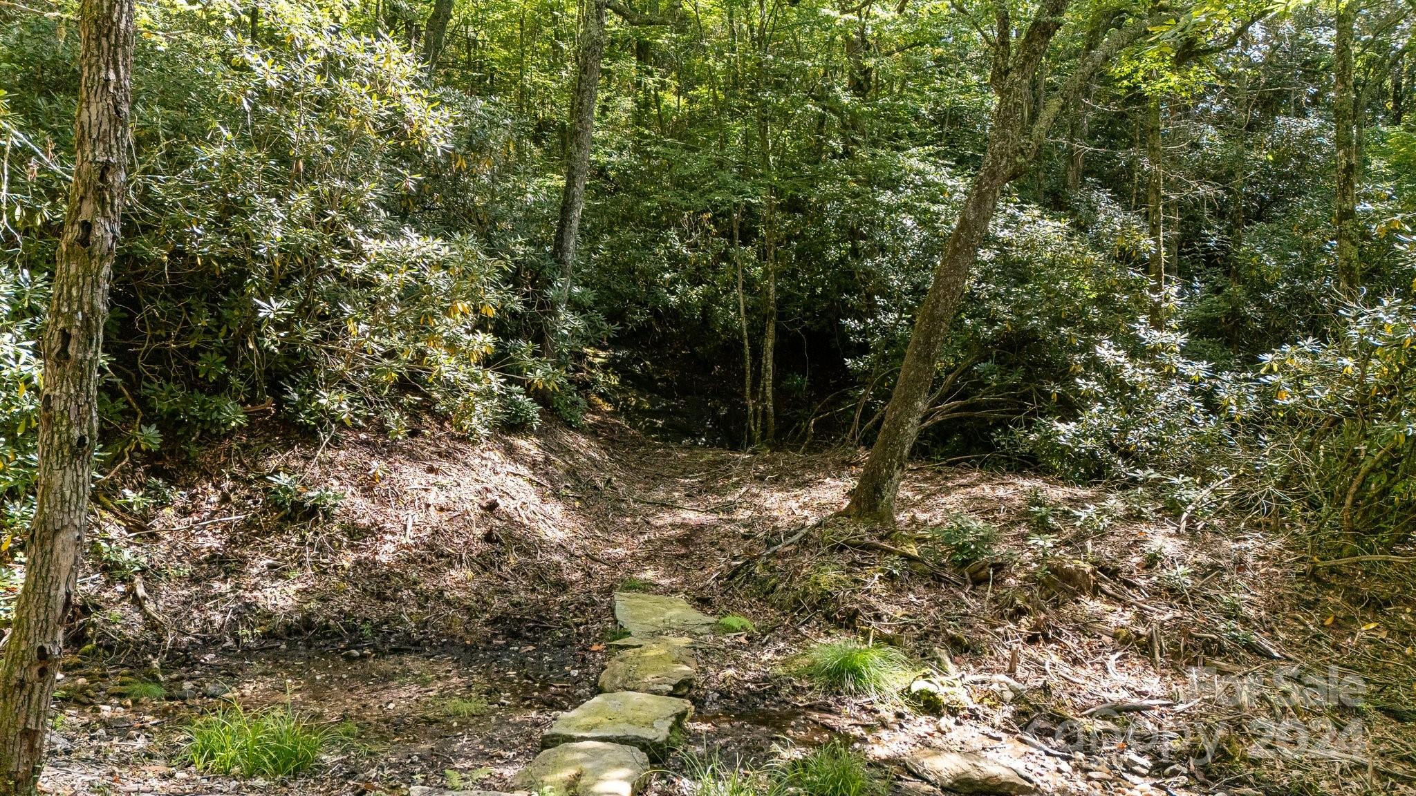 Lot D52 Springwater Road Glenville, NC 28736 - Photo 18 of 47 a view of outdoor space and trees