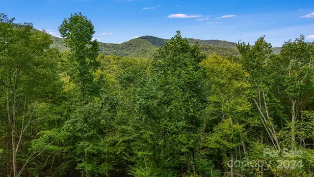 a view of a lush green forest with houses in the back