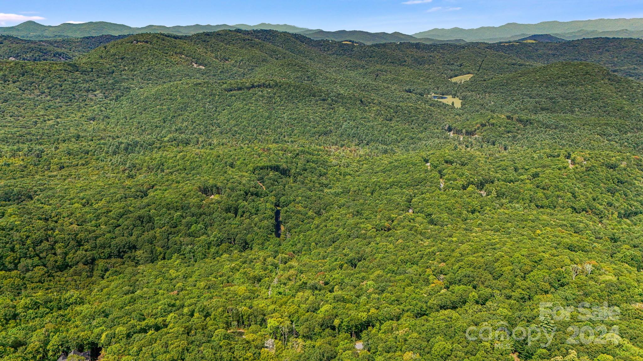 Lot D52 Springwater Road Glenville, NC 28736 - Photo 35 of 47 a view of a lush green hillside and a houses