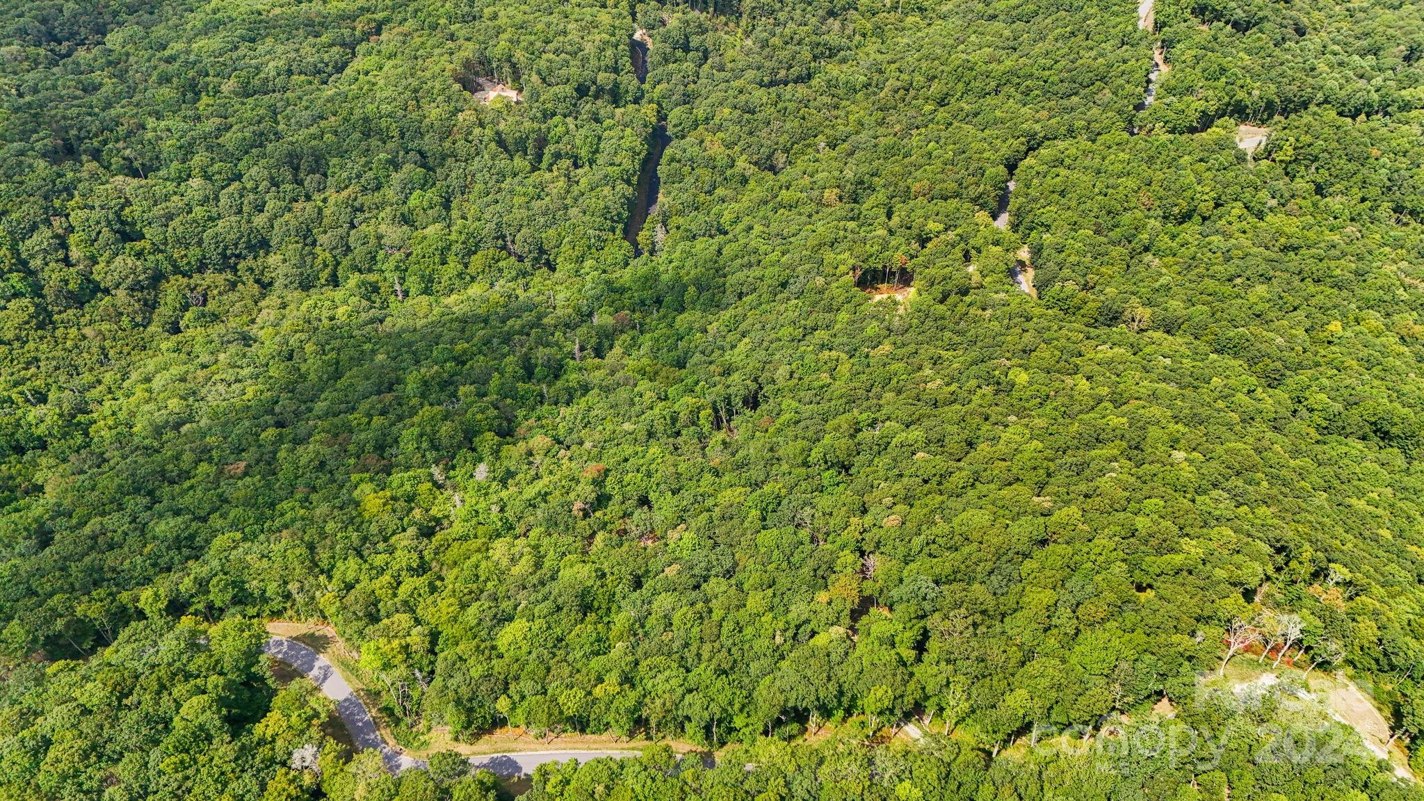 Lot D52 Springwater Road Glenville, NC 28736 - Photo 37 of 47 a view of a lush green field