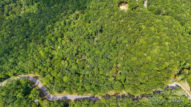 a view of a lush green hillside and mountains