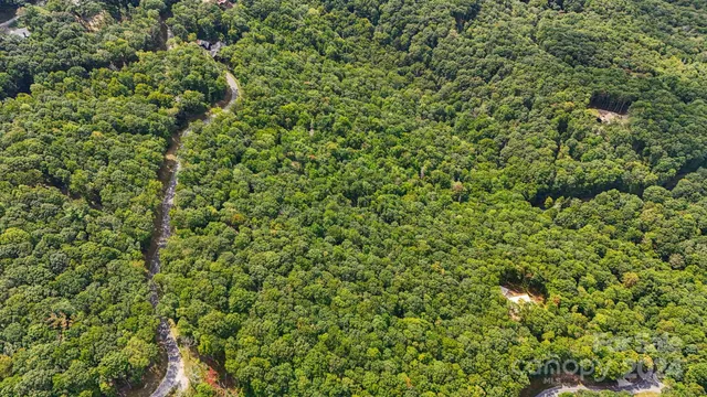 a view of a mountain range with lush green forest