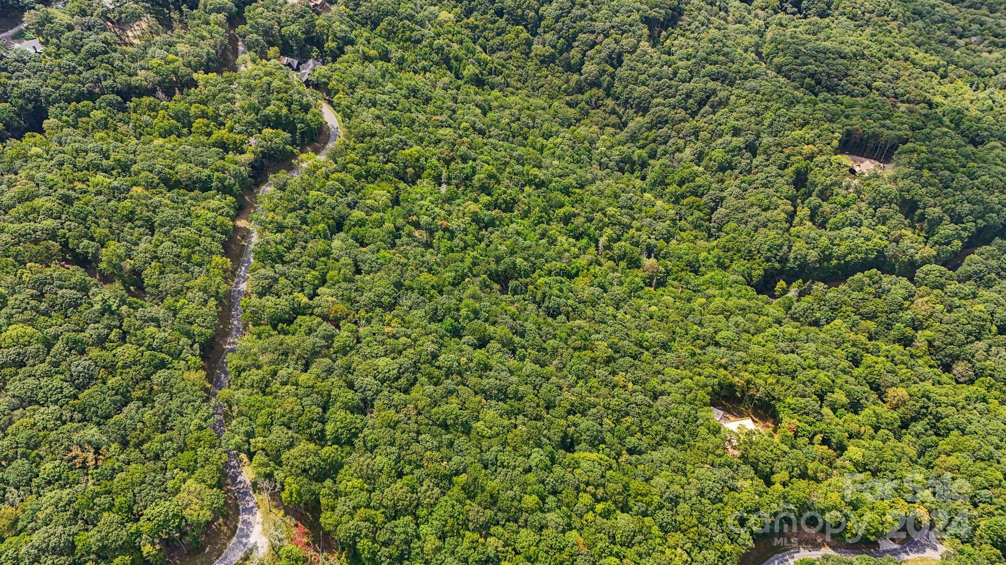 Lot D52 Springwater Road Glenville, NC 28736 - Photo 40 of 47 a view of a lush green field
