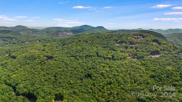 a view of a lush green hillside and a mountain