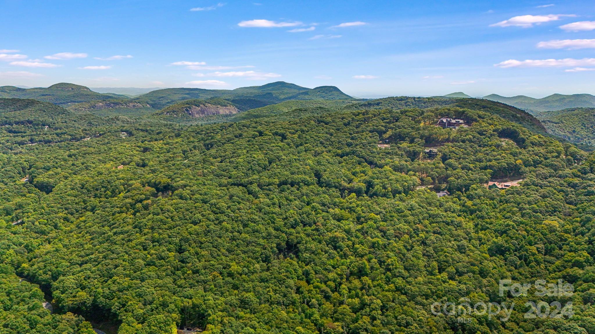 Lot D52 Springwater Road Glenville, NC 28736 - Photo 42 of 47 a view of a mountain range with lush green forest