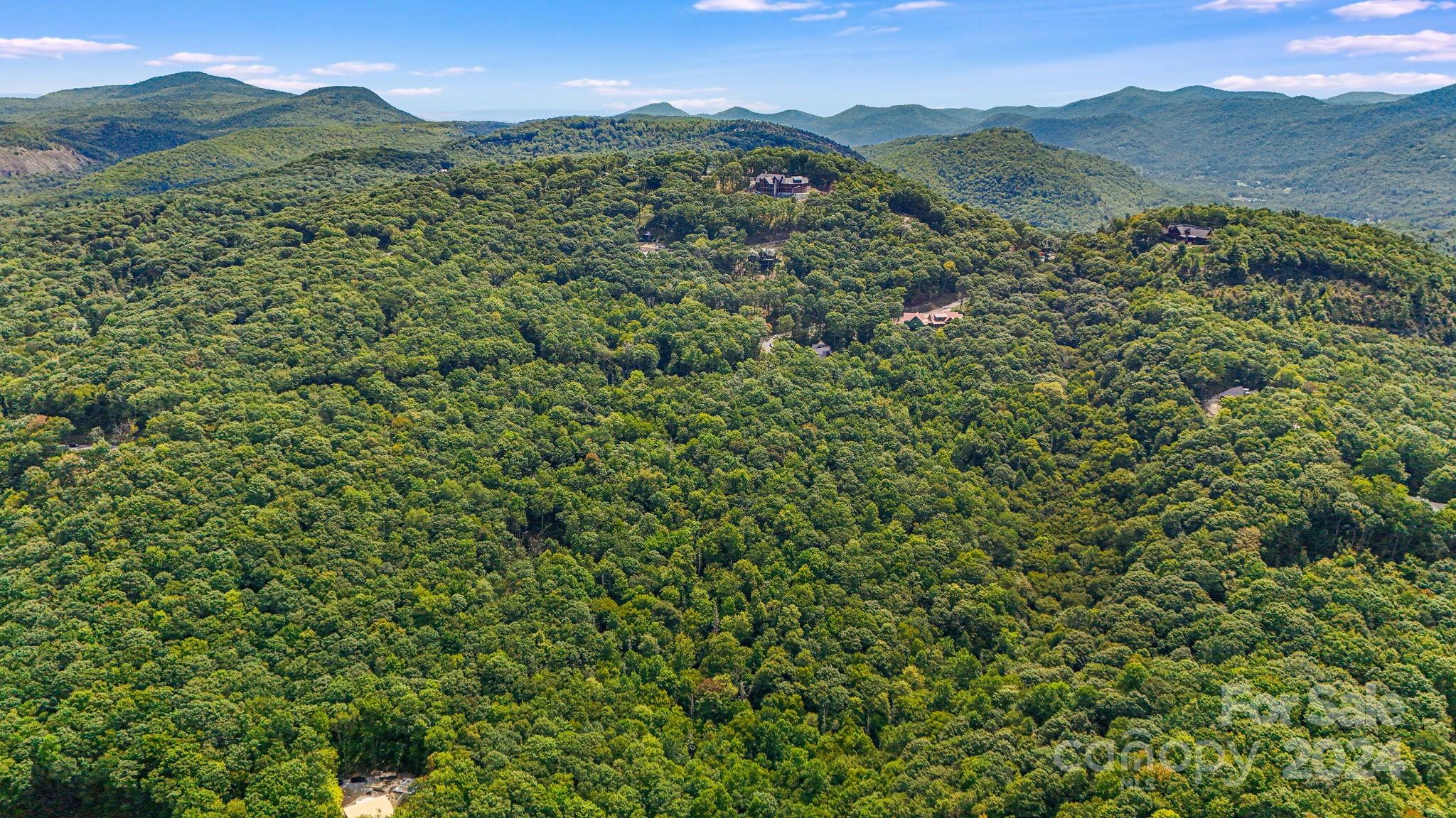 Lot D52 Springwater Road Glenville, NC 28736 - Photo 43 of 47 a view of a mountain range with lush green forest