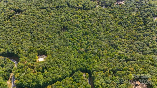 a view of a yard in a forest