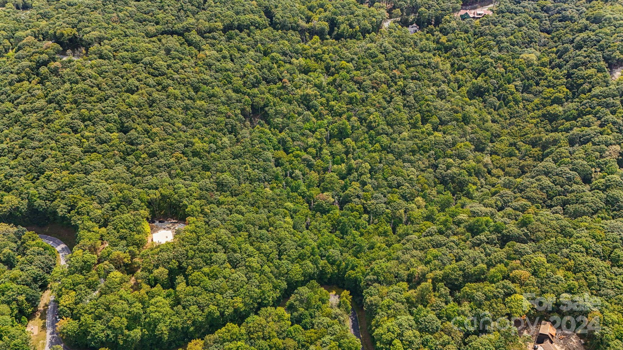 Lot D52 Springwater Road Glenville, NC 28736 - Photo 44 of 47 a view of a lush green field