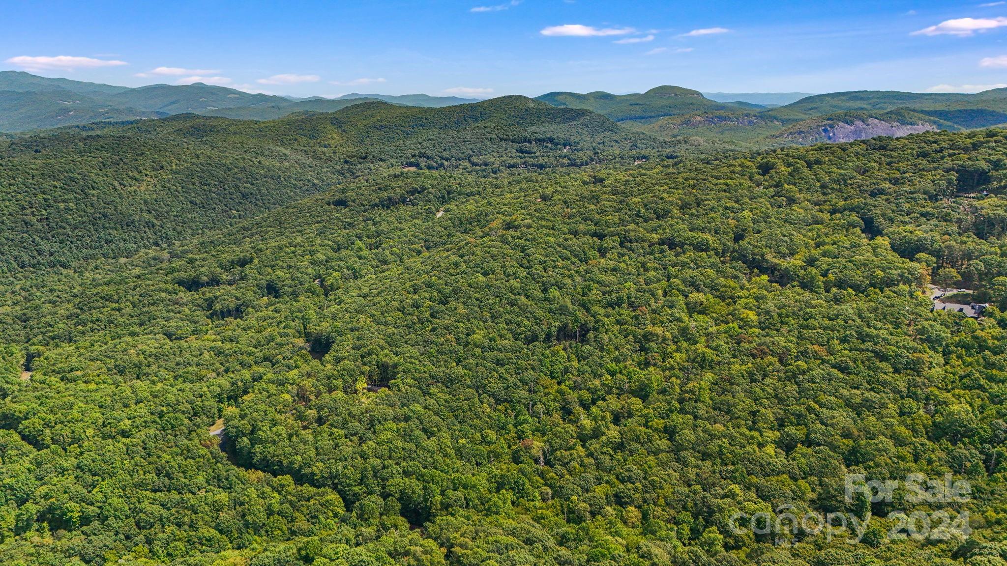 Lot D52 Springwater Road Glenville, NC 28736 - Photo 45 of 47 a view of a lush green hillside and a mountain