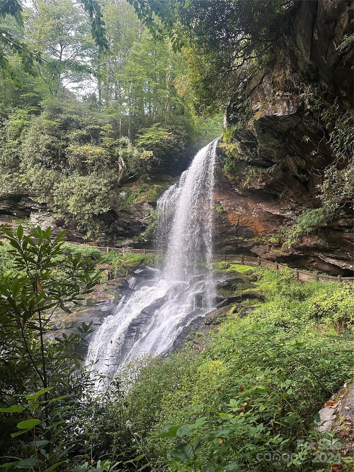 Lot D52 Springwater Road Glenville, NC 28736 - Photo 46 of 47 a view of a yard with large trees