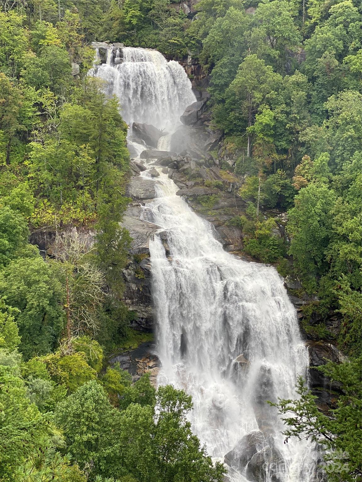 Lot D52 Springwater Road Glenville, NC 28736 - Photo 47 of 47 a view of a yard in a forest