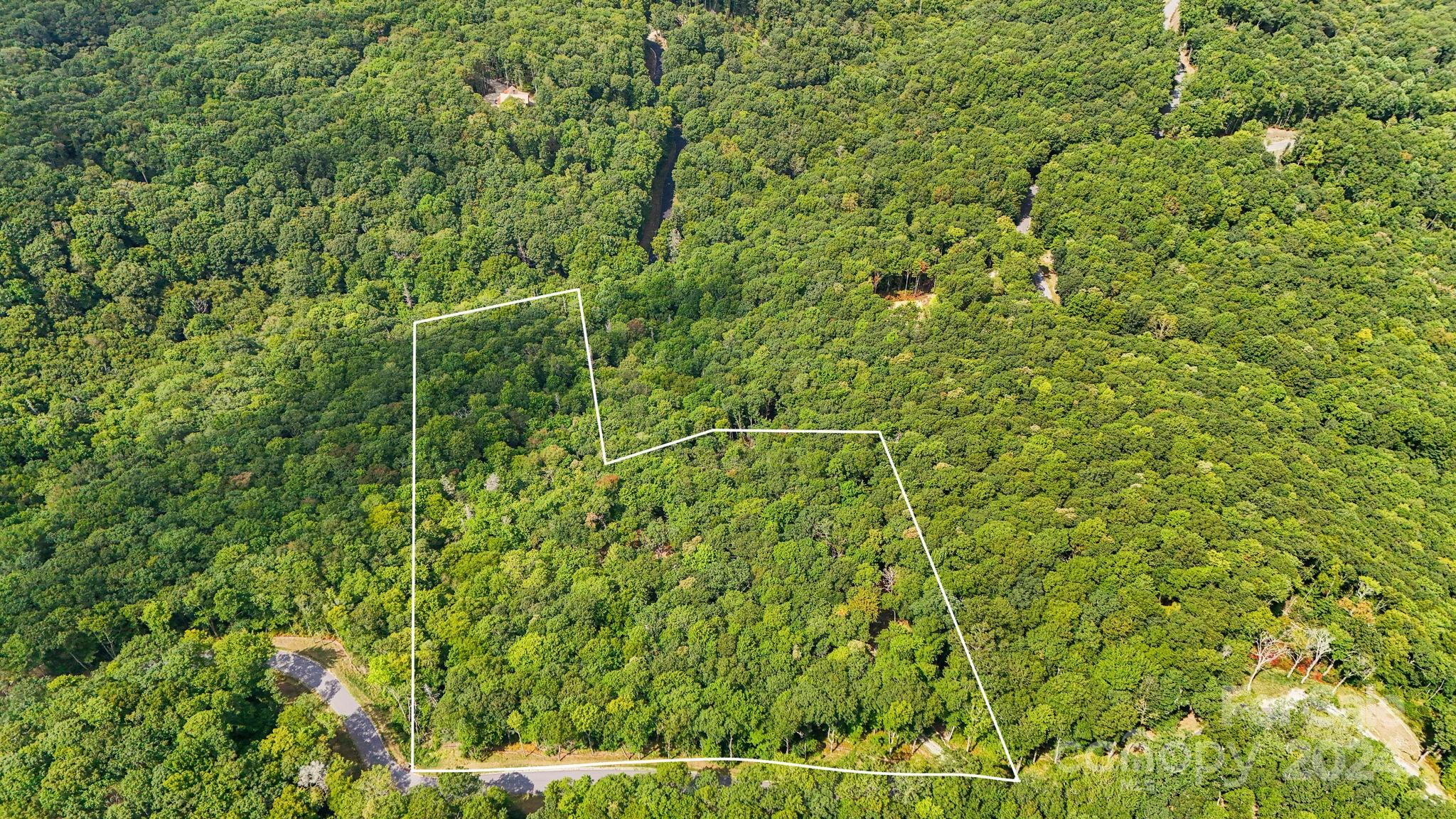 Lot D52 Springwater Road Glenville, NC 28736 - Photo 5 of 47 a view of a lush green forest with a plant