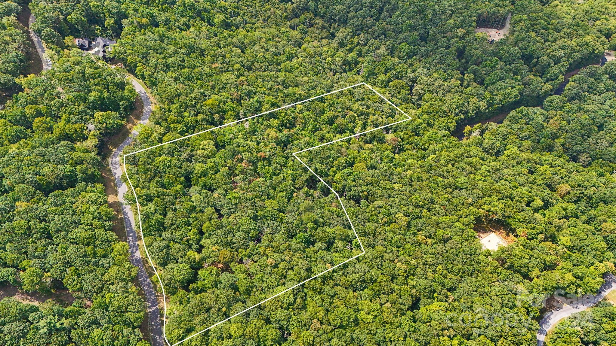 Lot D52 Springwater Road Glenville, NC 28736 - Photo 6 of 47 a view of a lush green forest with a plant