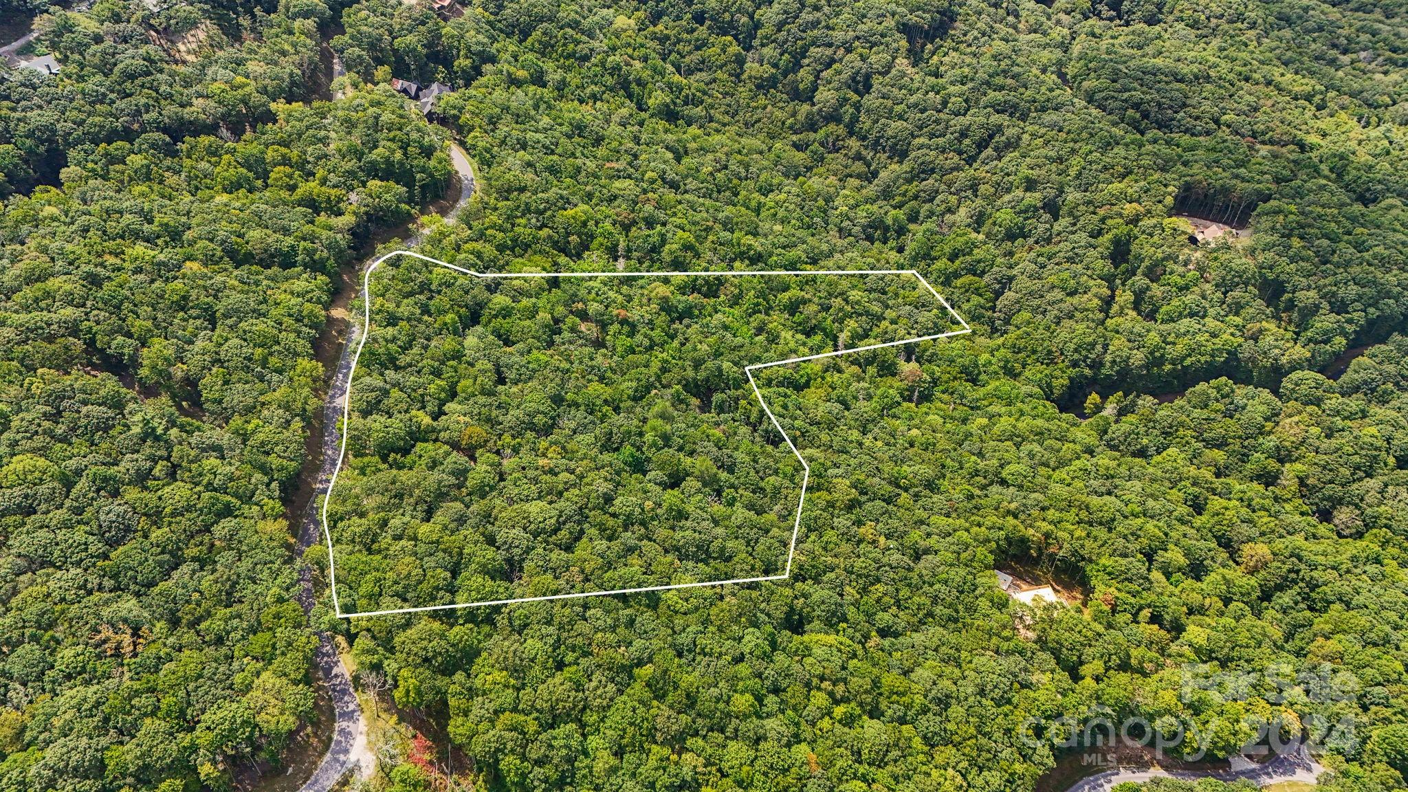 Lot D52 Springwater Road Glenville, NC 28736 - Photo 7 of 47 a view of a room